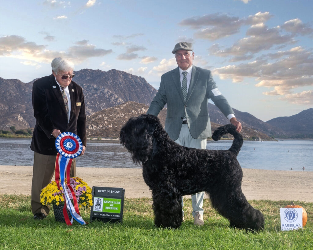 BIS (Best in Show) Perry, CA